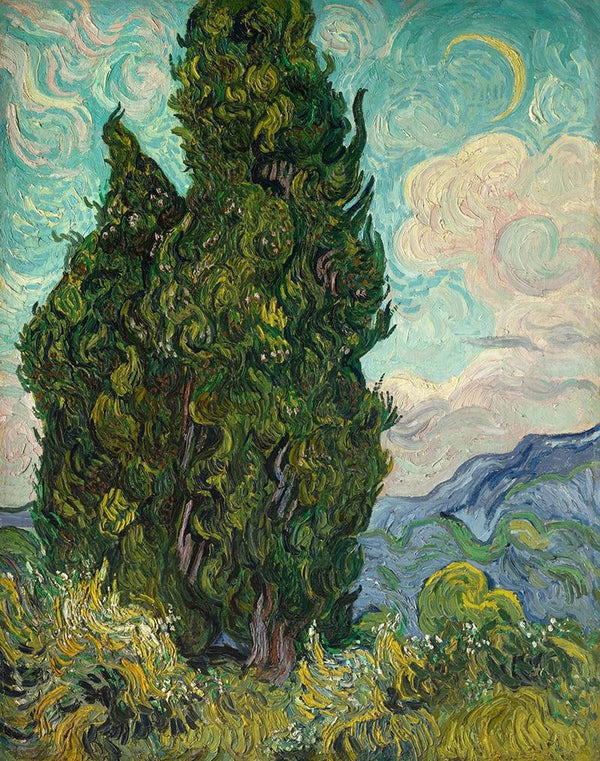 Cypresses