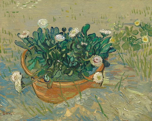 Daisies, Arles