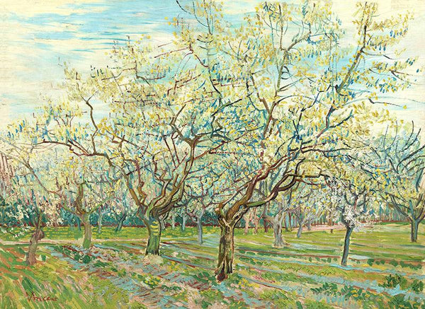 The White Orchard by Vincent Van Gogh.