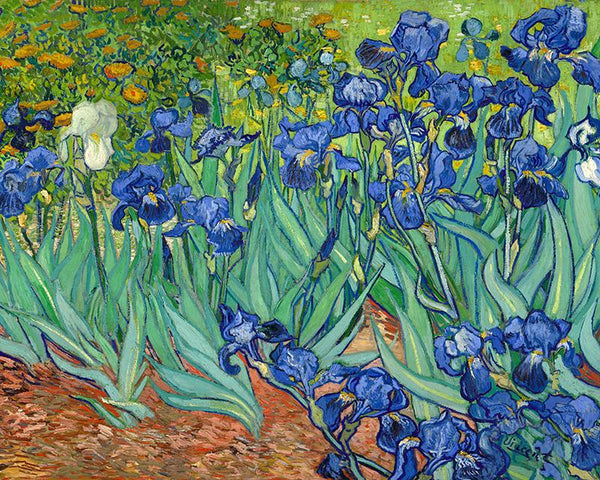 Irises in the Garden by Vincent Van Gogh.