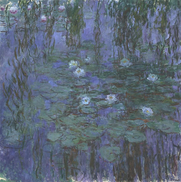 Blue Water Lilies