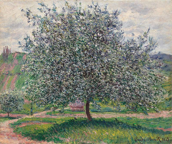 The Apple Tree