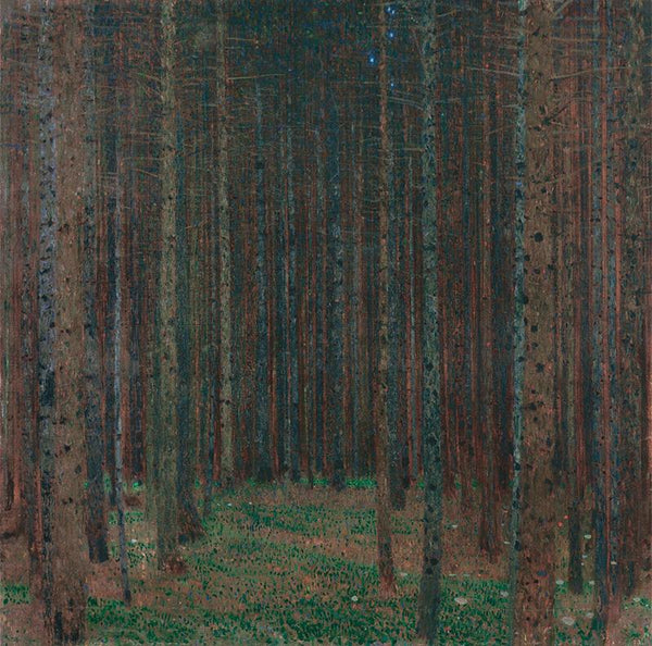 Fir forest I