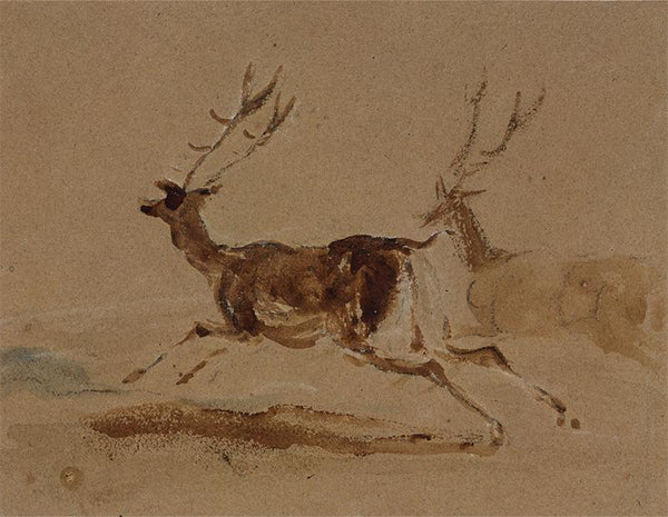 Two Stags Running