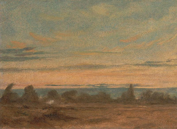 Summer - Evening Landscape