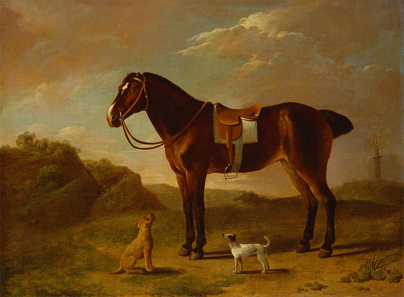 George Stubbs