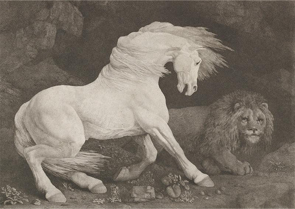 A Horse Affrighted at a Lion