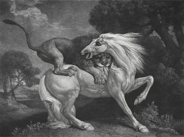 A Horse Attacked by a Lion