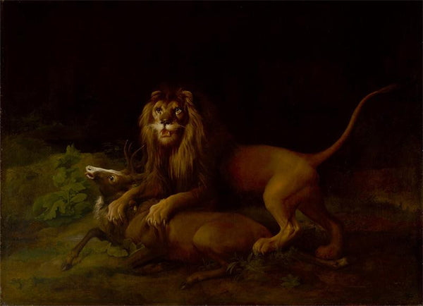 A Lion Attacking a Stag