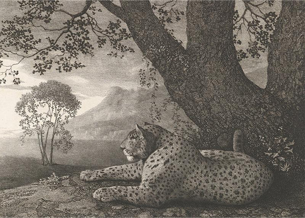 A Tyger (A Recumbent Leopard by a Tree)