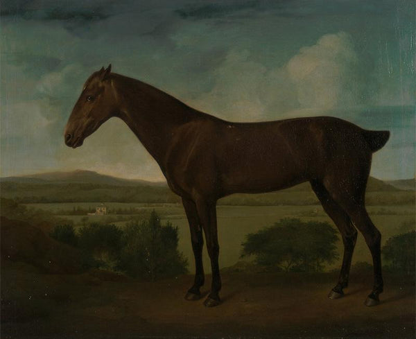 Brown Horse in a Hilly Landscape