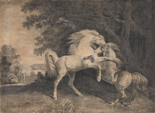 Horses Fighting