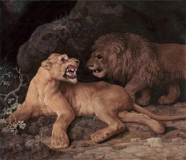 Lion and Lioness 1770