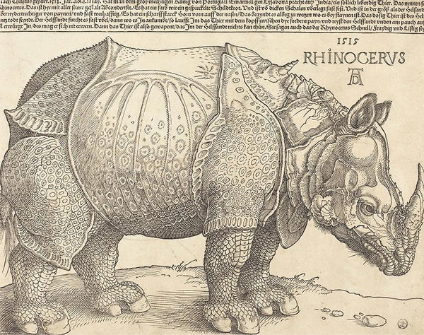 The Rhinoceros