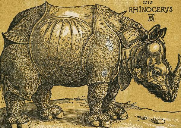 The Rhinoceros