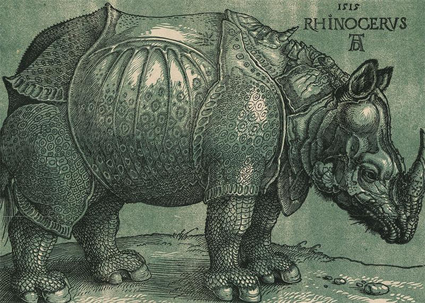 The Rhinoceros