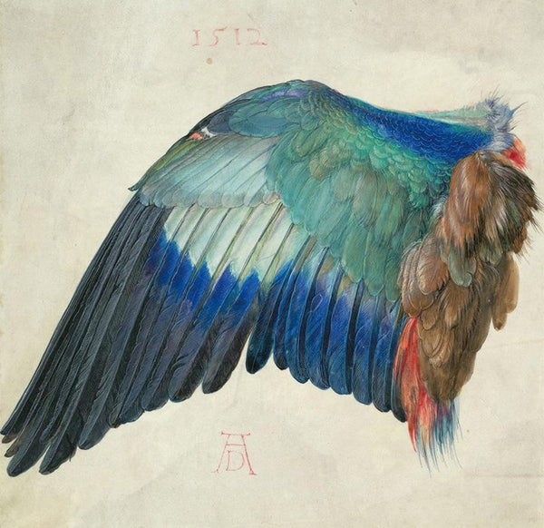 Wing of a European Roller (Blaurackenflügel)