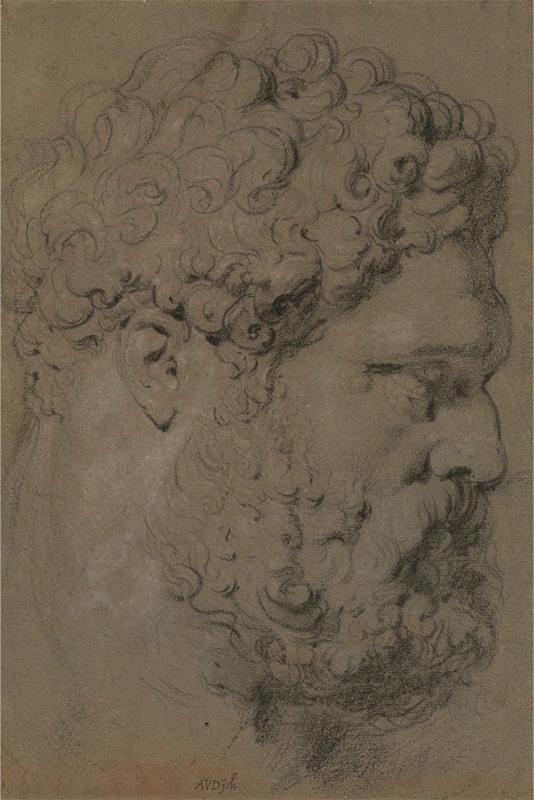 Head of the Farnese HerculesStudies of the head and profile of the Farnese Hercules, seen from a lower viewpoint Head of the Farnese Hercules (recto)