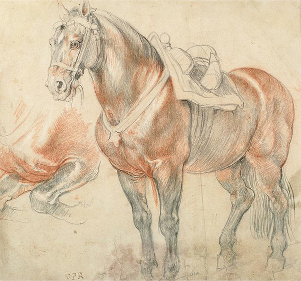 Saddled Horse, c. 1615-1618