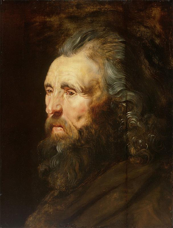 Study of a Man's Head (Férfi tanulmányfej)