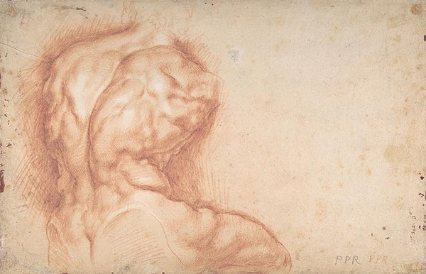 The Virgin Adored by Saints (recto); Study of the Torso Belvedere (verso)