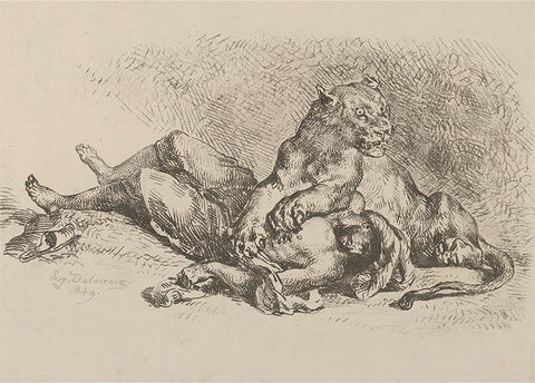 A Lioness Mauling the Chest of an Arab