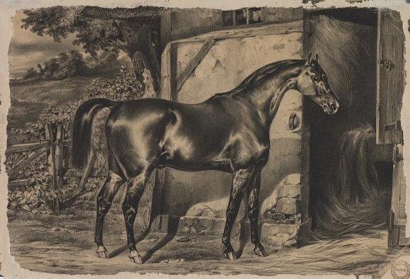 Armored Figure on Horseback (recto); Horse in Front of a Barn (verso)