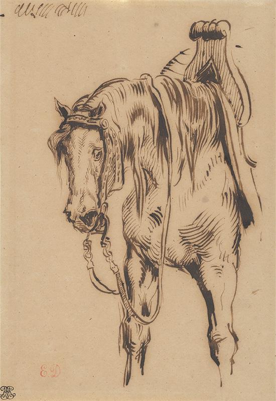 Goetz van Berlichingen's Horse