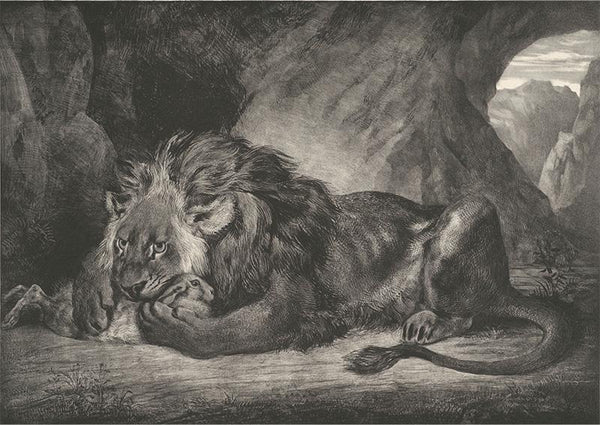 Lion of the Atlas Mountains (Lion d’Atlas)