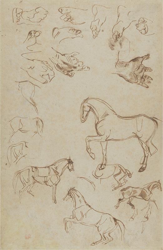 Studies of Horses, Hands, and Feet (recto); Studies of Heads and Figures (verso)