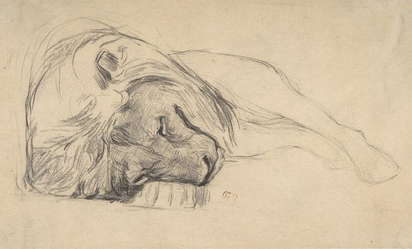 The Head of a Recumbent Lion