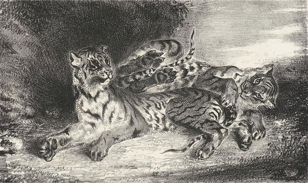 Young Tiger Playing with Its Mother (Jeune Tigre jouant avec sa Mêre)