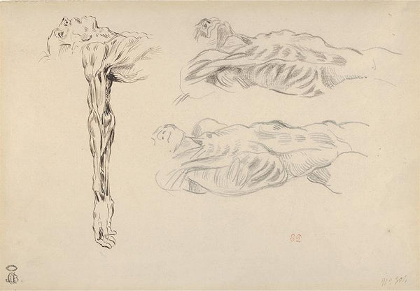 Écorché_ Three Studies of a Male Cadaver