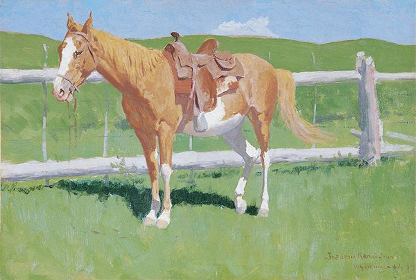 Sorrel Horse Study