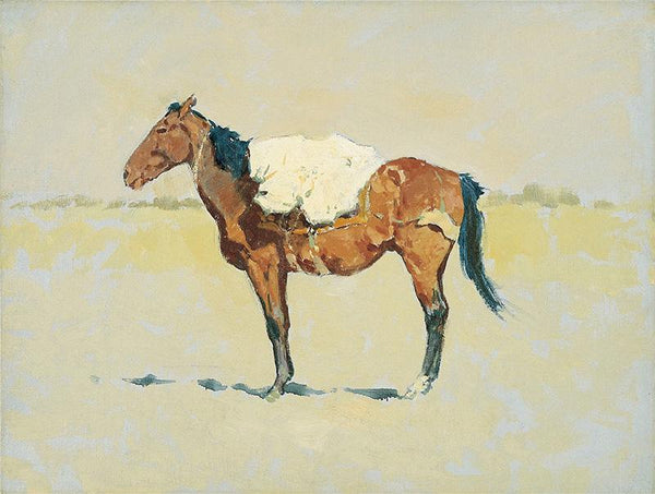 Study for Pack Horse