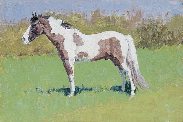 Untitled horse study 7