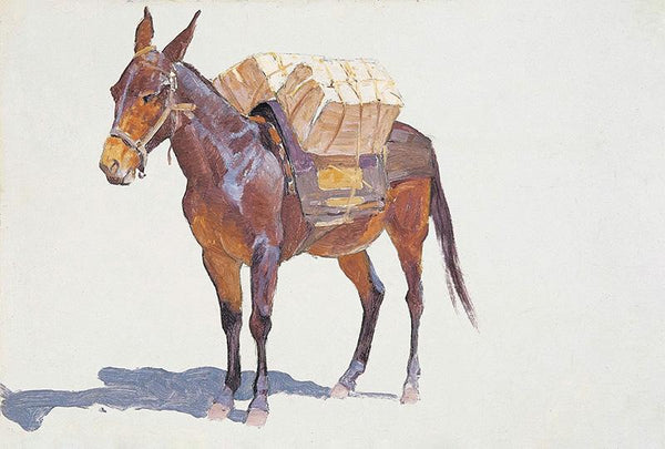 Untitled pack mule study