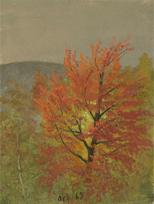 Autumn Landscape (Vermont)