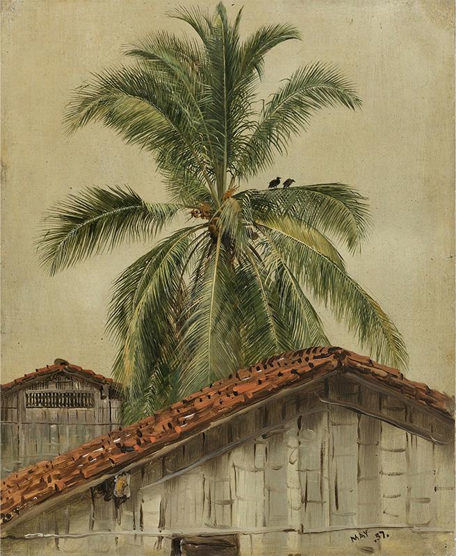 Palm Trees and Housetops, Ecuador