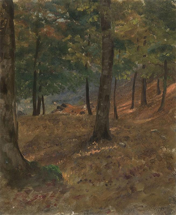 Woodland Scene