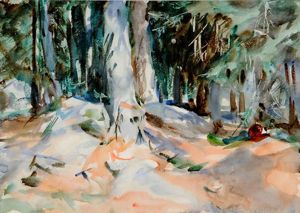 Portud, 1911 Forrest Scene