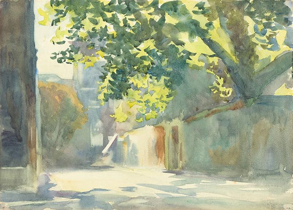 Sunlit Wall Under a Tree