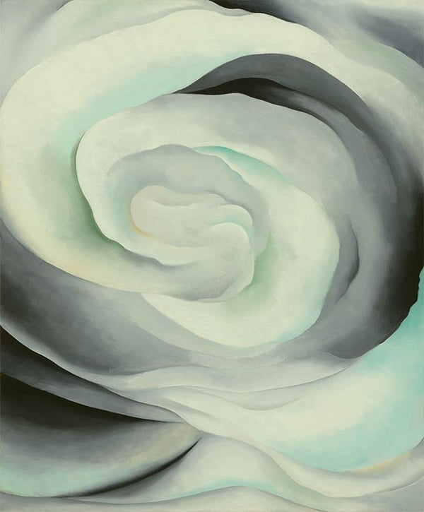 Abstraction White Rose