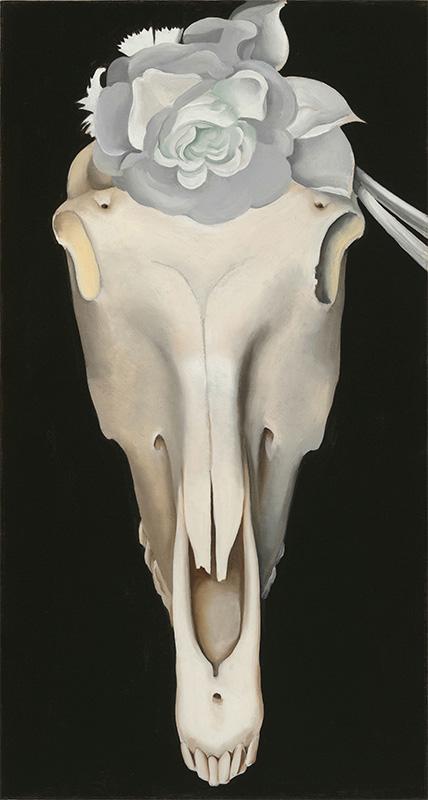 Horse's Skull with White Rose