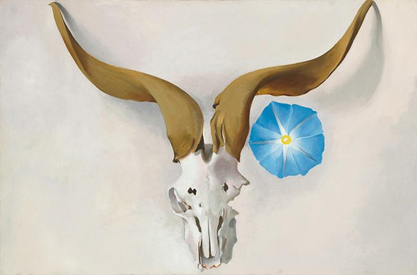 Ram's Head, Blue Morning Glory