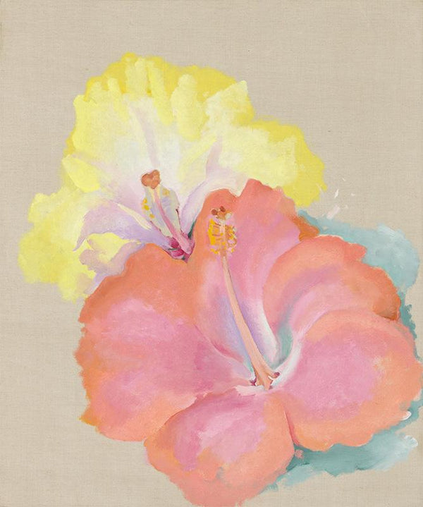 Untitled (Hibiscus)