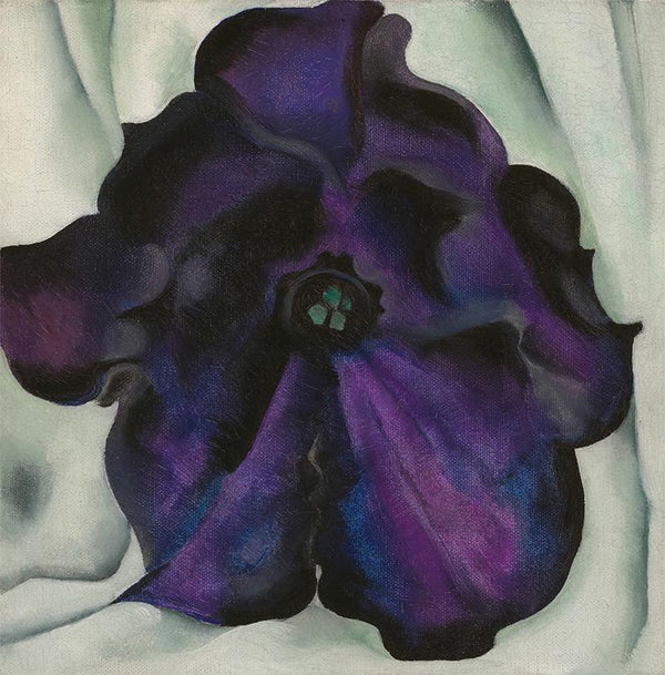 Untitled (Purple Petunia)