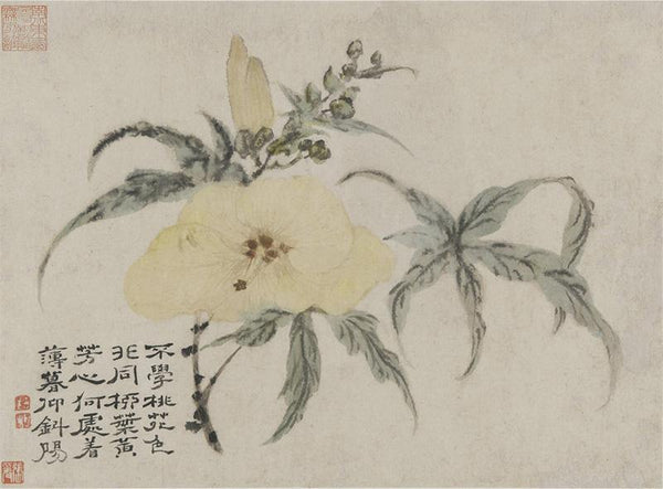 Album of Flowers and Portrait of Shitao - Hibiscus