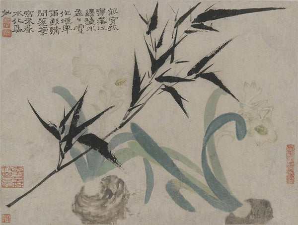 Album of Flowers and Portrait of Shitao Bamboo and Narcissus