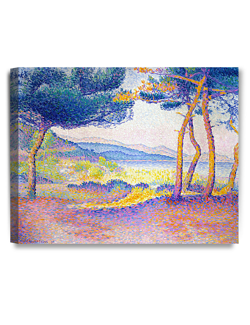 Pines Along the Shore(1896) by Henri Edmond Cross.